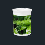 Elegant classic forest woodland Spring Green Ferns Beverage Pitcher<br><div class="desc">A close-up image of spring green ferns illuminated by dappled light through the forest’s canopy.</div>