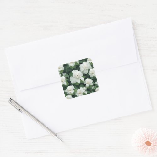 Elegant classic green botanical white floral square sticker