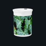 Elegant classic green Ivy and field stone Beverage Pitcher<br><div class="desc">Walk down the garden path - ivy and fieldstone wall</div>