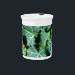 Elegant classic green Ivy and field stone Beverage Pitcher<br><div class="desc">Walk down the garden path - ivy and fieldstone wall</div>