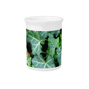Elegant classic green Ivy and field stone Beverage Pitcher