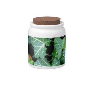 Elegant classic green Ivy and field stone Candy Jar