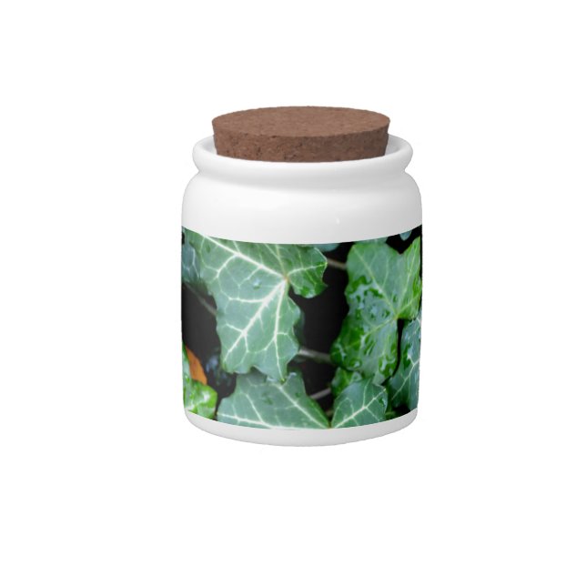 Elegant classic green Ivy and field stone Candy Jar (Front)