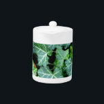 Elegant classic green Ivy and field stone Teapot<br><div class="desc">Walk down the garden path - ivy and fieldstone wall</div>