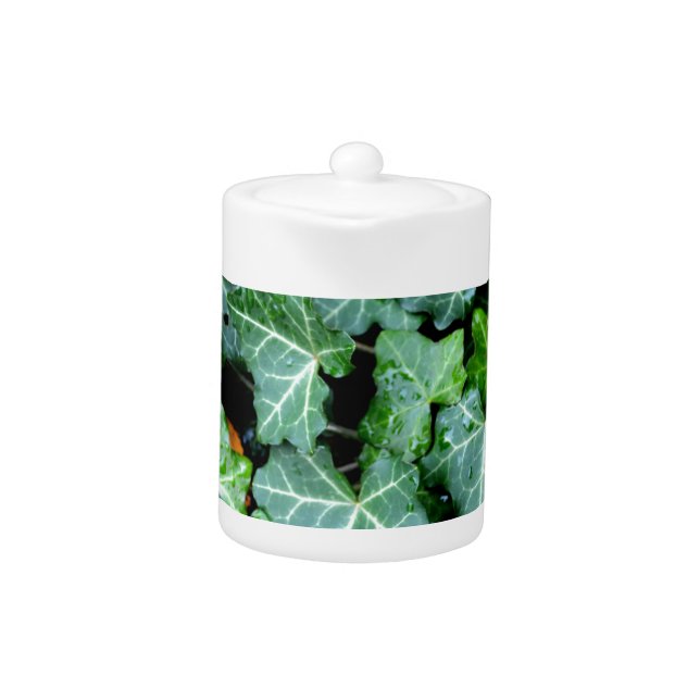 Elegant classic green Ivy and field stone Teapot (Front)