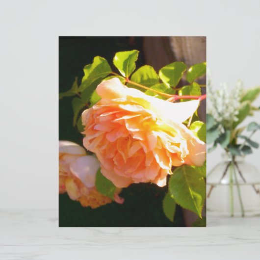 Elegant classic orange peach roses floral (Standing Front)