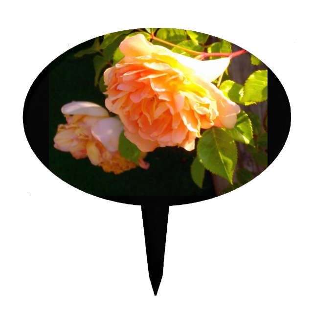 Elegant classic orange peach roses floral cake topper (Front)
