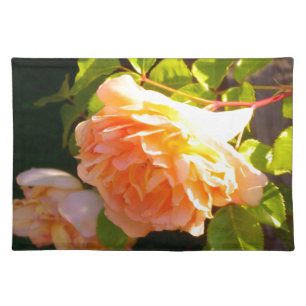 Elegant classic orange peach roses floral cloth placemat