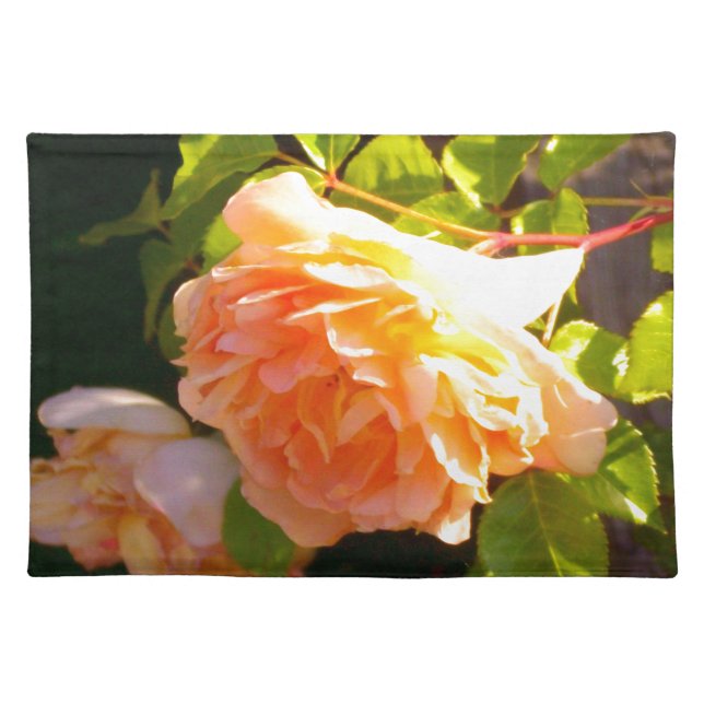 Elegant classic orange peach roses floral cloth placemat (Front)