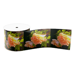Elegant classic orange peach roses floral grosgrain ribbon