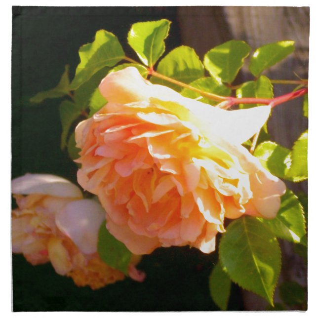 Elegant classic orange peach roses floral napkin (Front)