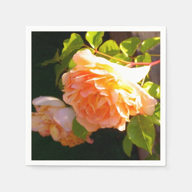 Elegant classic orange peach roses floral paper napkins (Front)
