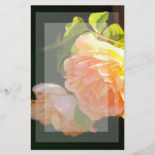 Elegant classic orange peach roses floral stationery