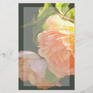 Elegant classic orange peach roses floral stationery