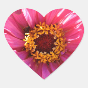 Elegant classic pink floral flower mum daisy heart sticker