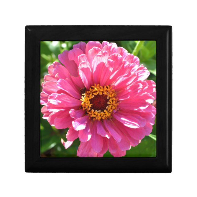 Elegant classic pink floral flower mum daisy jewelry box (Front)