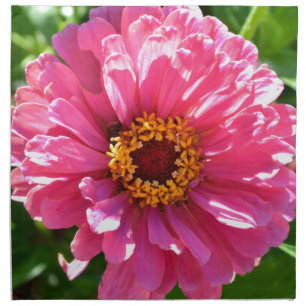 Elegant classic pink floral flower mum daisy napkin