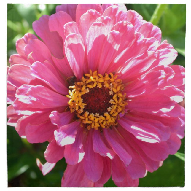 Elegant classic pink floral flower mum daisy napkin (Front)