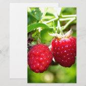 Elegant classic red Raspberries (Front/Back)