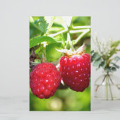 Elegant classic red Raspberries (Standing Front)