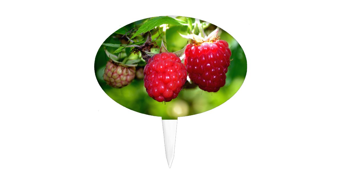 Elegant classic red Raspberries Cake Topper | Zazzle