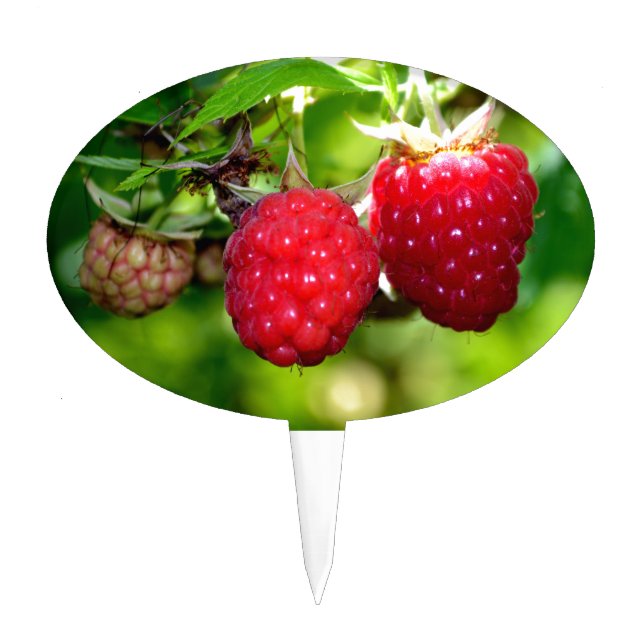 Elegant classic red Raspberries Cake Topper (Front)