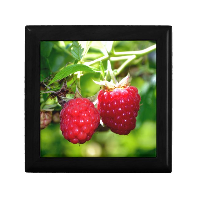 Elegant classic red Raspberries Gift Box (Front)