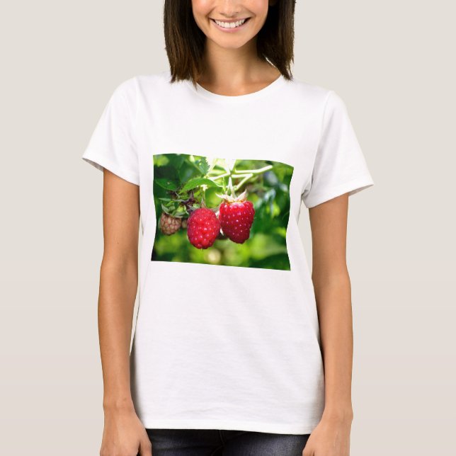 Elegant classic red Raspberries T-Shirt (Front)