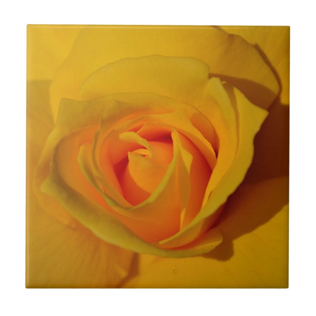 Elegant classic yellow orange rose ceramic tile (Front)