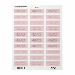 Elegant Classy Blush Pink Return Address Label