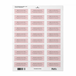 Elegant Classy Blush Pink Return Address Label