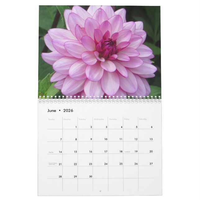 Elegant Colorful Dahlias Botanical Calendar (Jun 2026)