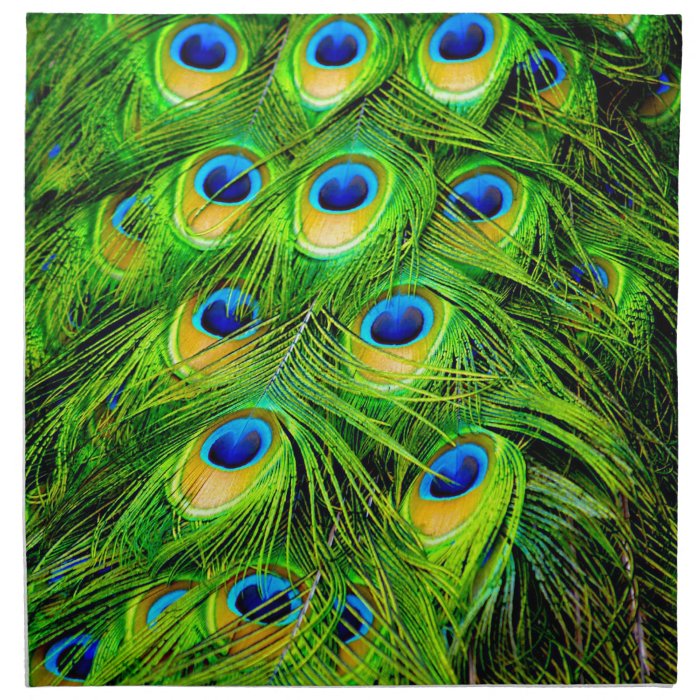 Elegant Colorful Peacock Feathers Custom Printed Napkin