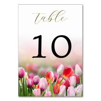 Elegant Colorful Tulip Florals Wedding Table Number