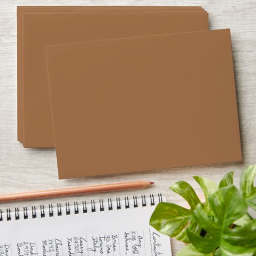 Elegant Colors _ Minimalist Caf au Lait Envelope