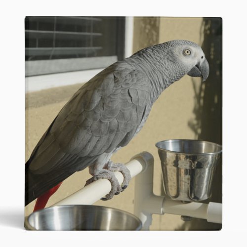 Elegant Congo African Gray Parrot on Stand 3 Ring Binder