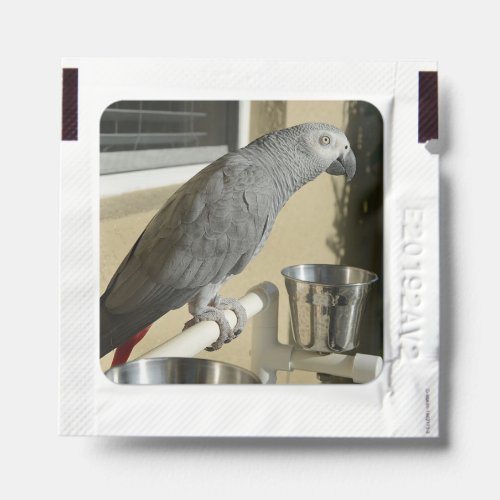 Elegant Congo African Grey Parrot on Stand Hand Sanitizer Packet