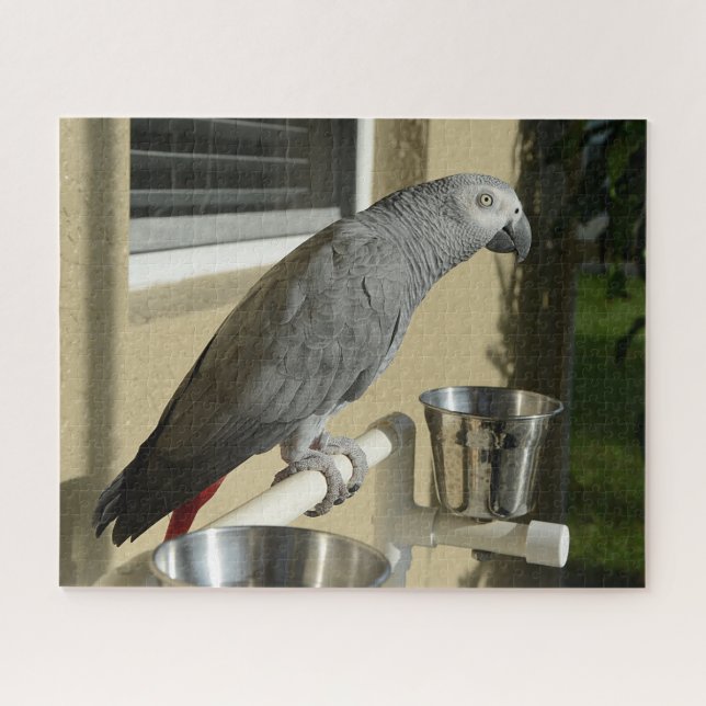 Elegant Congo African Grey Parrot on Stand Jigsaw Puzzle (Horizontal)