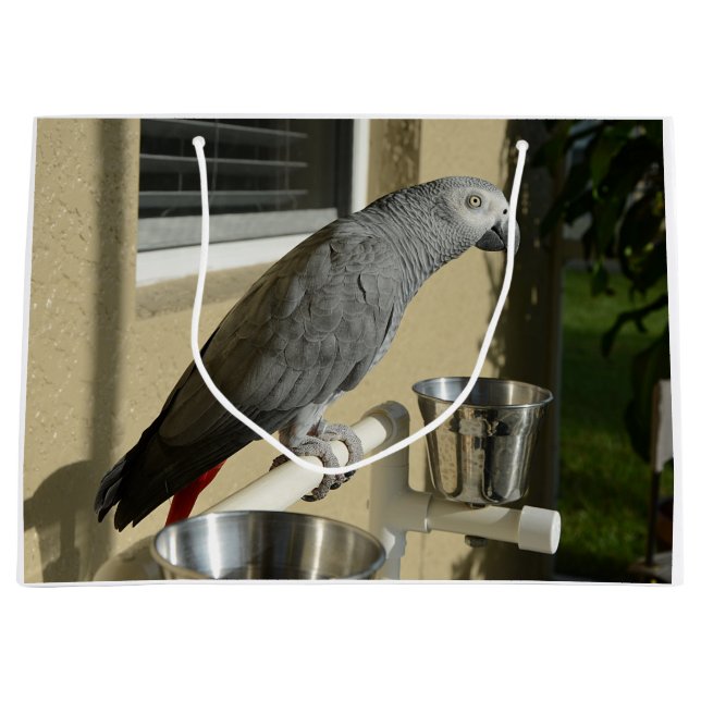 Elegant Congo African Grey Parrot on Stand Large Gift Bag (Front)