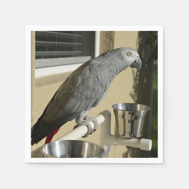 Elegant Congo African Grey Parrot on Stand Napkins (Front)