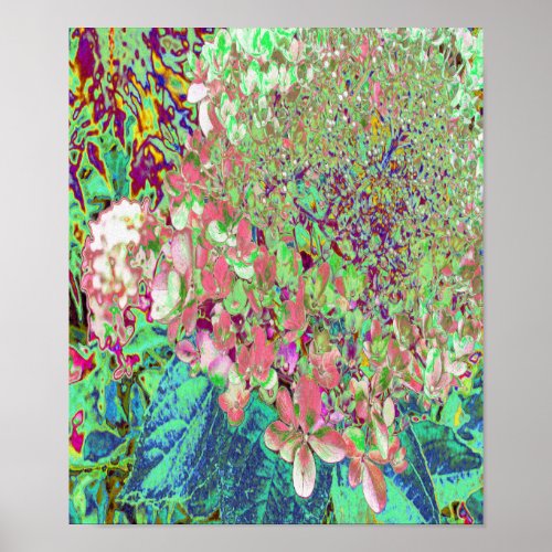 Elegant Coral and Chartreuse Limelight Hydrangea Poster