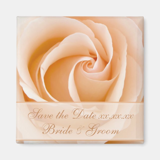 Elegant Cream Rose Save The Date Magnet (Front)