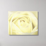 Elegant Cream Rose Wall Canvas at Zazzle