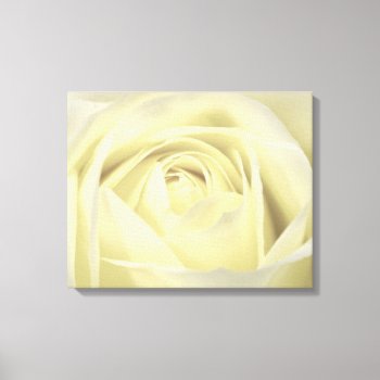 Elegant Cream Rose Wall Canvas by Recipecard at Zazzle