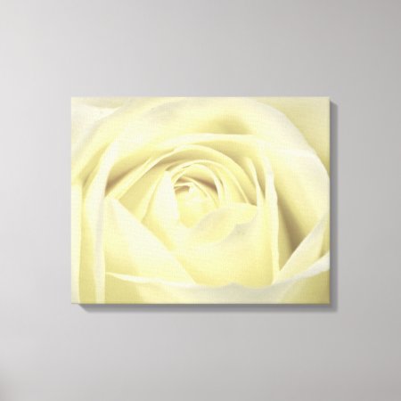 Elegant Cream Rose Wall Canvas