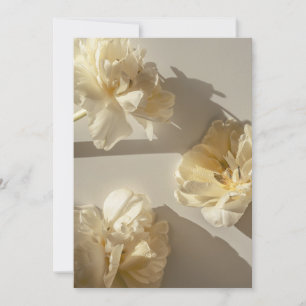 Elegant Cream Tulips in warm light, Thank You Card
