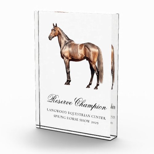 Elegant Custom Equestrian Horse Show Trophy Acrylic Award
