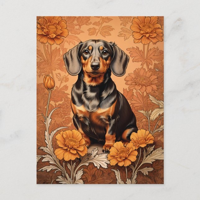 Elegant Dachshund And Marigolds   Postcard (Front)