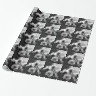 Elegant Daisy Flowers In Black And White Wrapping Paper