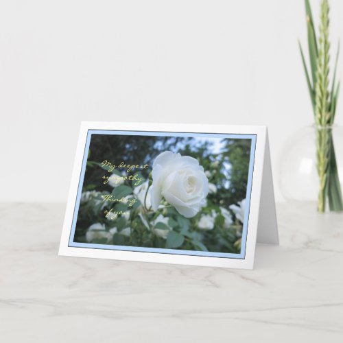 Elegant Daisy Photo Thinking of You Sympathy Card